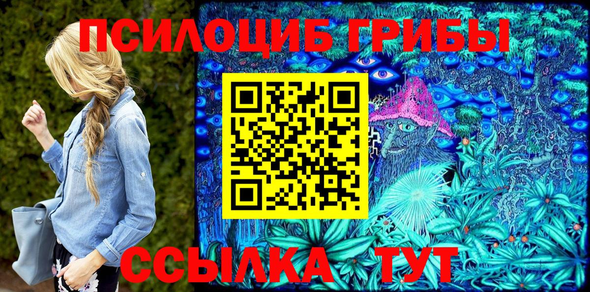 Псилоцибиновые грибы GOLDEN TEACHER Свободный